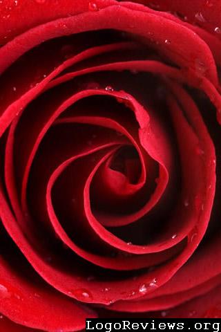 Android Wallpapers